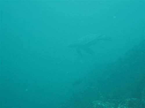 IMG_1435